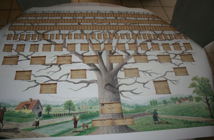 arbre éventail